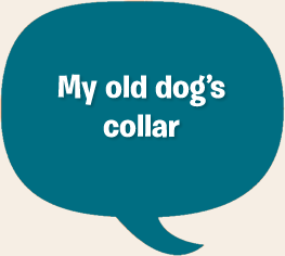 My old dog's collar