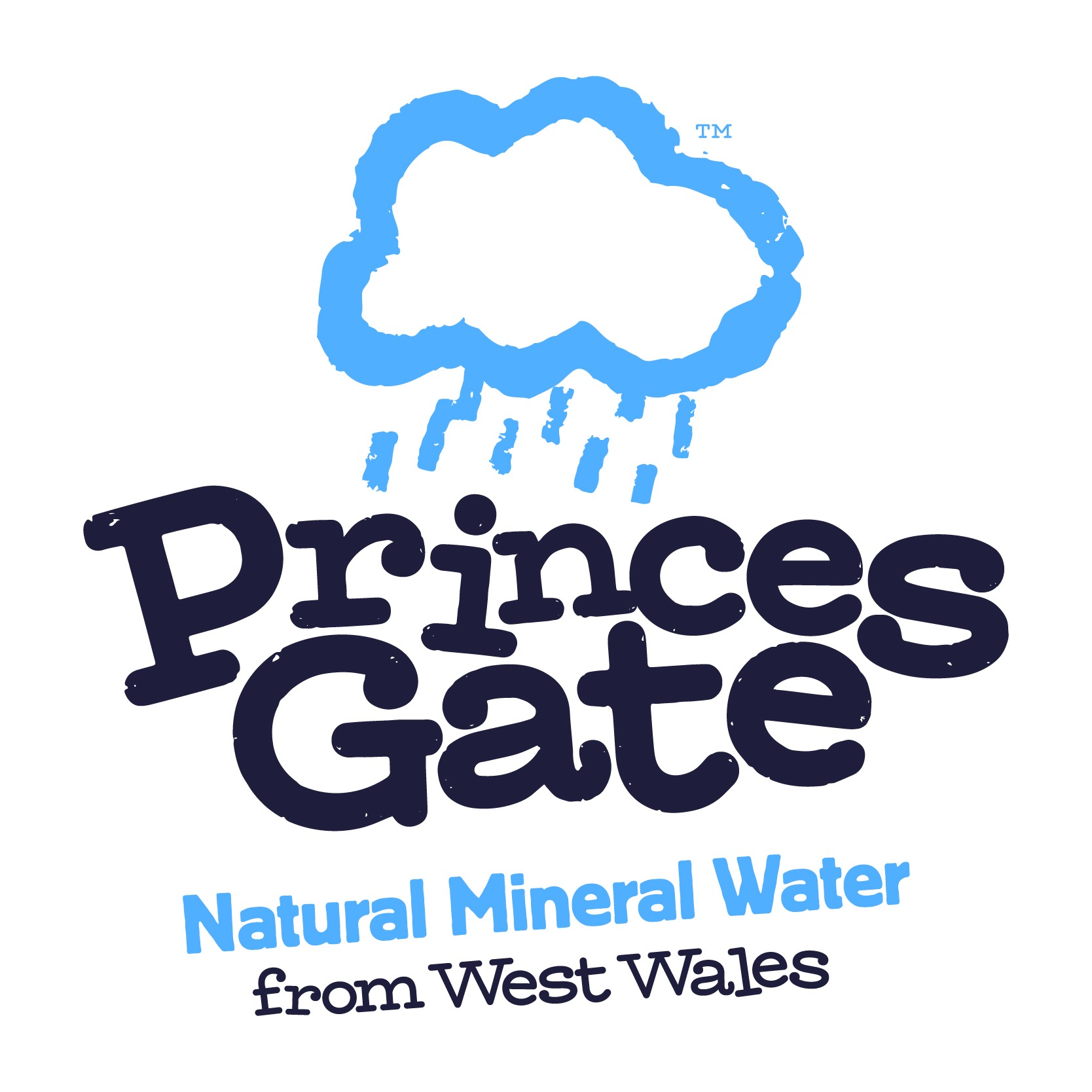 Princes-Gate-Logo_Primary-White